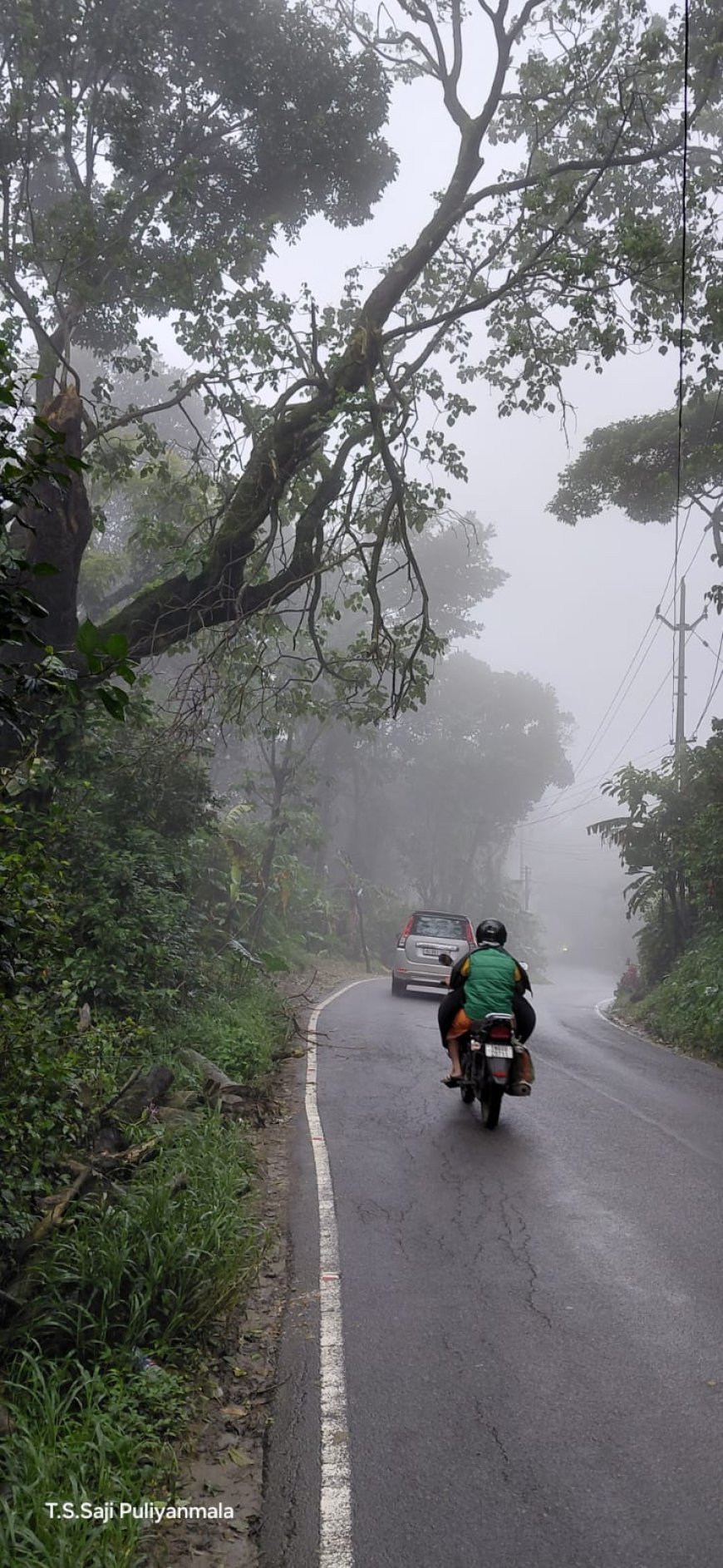 പുളിയൻമല കമ്പനിപ്പടി ഭാഗത്ത് ഒടിഞ്ഞു തൂങ്ങി ചീമ മുരിക്ക് : പതിയിരിക്കുന്നത് വൻ അപകടം