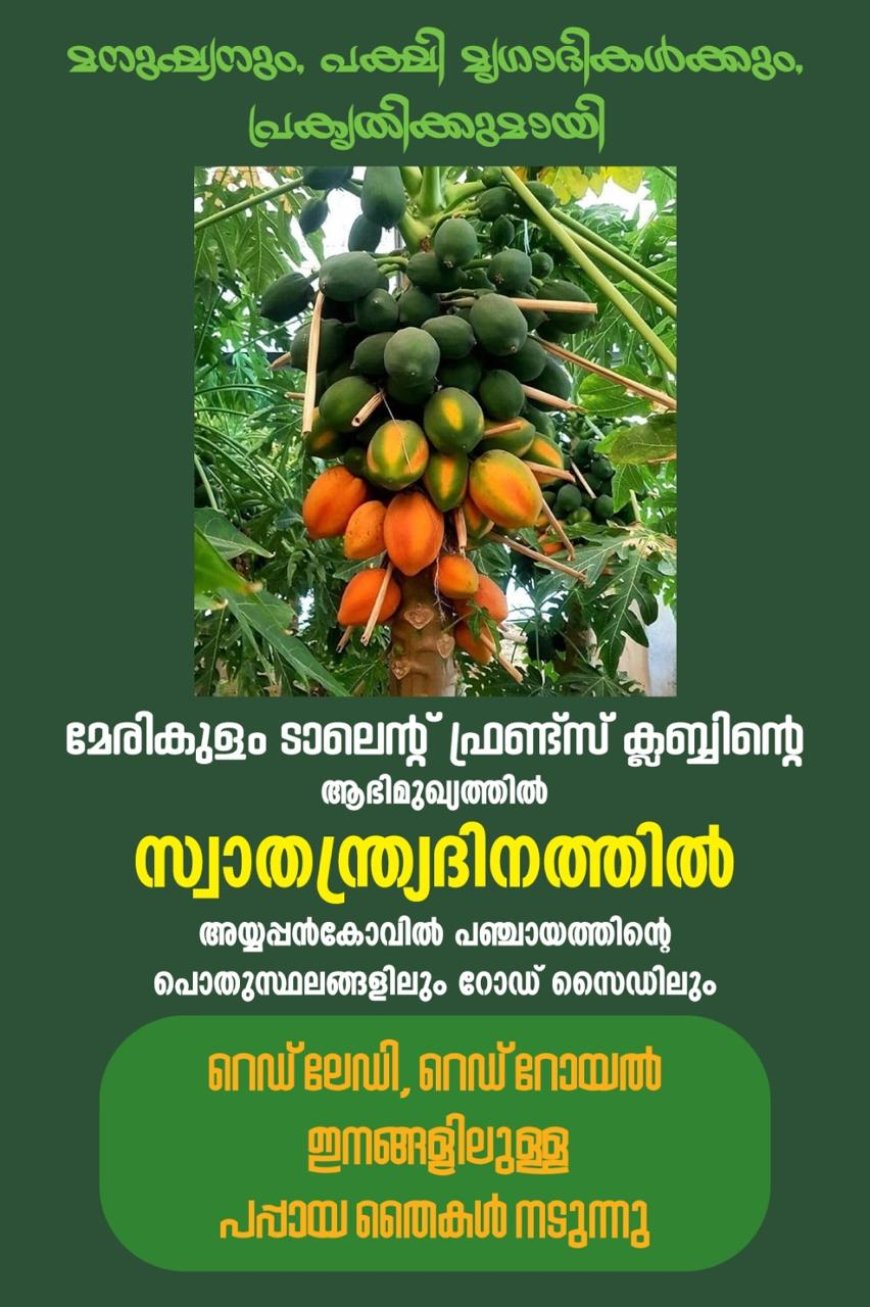 സ്വാതന്ത്ര്യദിനത്തിൽ മേരികുളം ടാലന്റ് ഫ്രണ്ട്സ് ക്ലബ്ബിന്റെ ഹരിതസമ്മാനം