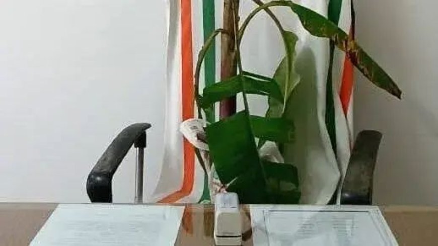 തെരുവ് നായ ശല്യം: പ്രസിഡന്റിന്റെ കസേരയില്‍ വാഴവച്ച്‌ പ്രതിഷേധം