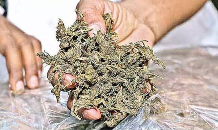 രാമക്കൽമേട്ടിൽ കഞ്ചാവുമായി അഞ്ചു പേർ പിടിയില്‍