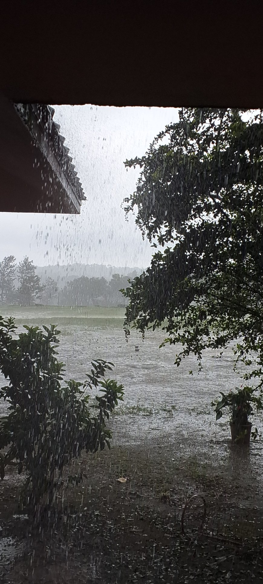 സംസ്ഥാനത്ത് ഒറ്റപ്പെട്ട ശക്തമായ മഴ തുടരും; മൂന്ന് ജില്ലകളിൽ ഓറഞ്ച് അലർട്ട്