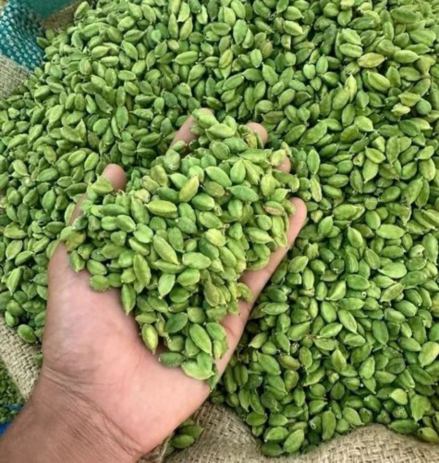 ഉണക്ക്‌ കുറഞ്ഞ ഏലക്കാ വിപണിയിലെത്തുന്ന സംഭവത്തില്‍ പരിശോധന കര്‍ശനമാക്കാന്‍ നിര്‍ദേശം.