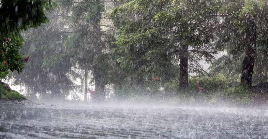 കേരളത്തില്‍ വീണ്ടും മഴ ശക്തമാകുന്നു. ബംഗാള്‍ ഉള്‍കടലില്‍ അടുത്ത 48 മണിക്കൂറിനുള്ളില്‍ ന്യൂന മർദ്ദം രൂപപ്പെടാൻ സാധ്യത