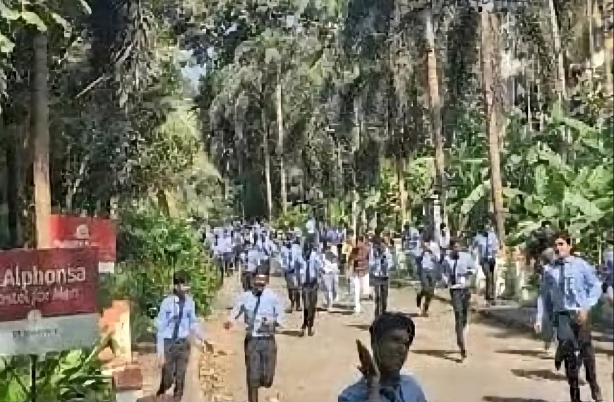 ഓണാഘോഷത്തിനിടയിൽ കടന്നൽ കൂട് ഇളകി, നൂറോളം വിദ്യാർത്ഥികൾക്കും, അധ്യാപകർക്കും കുത്തേറ്റു