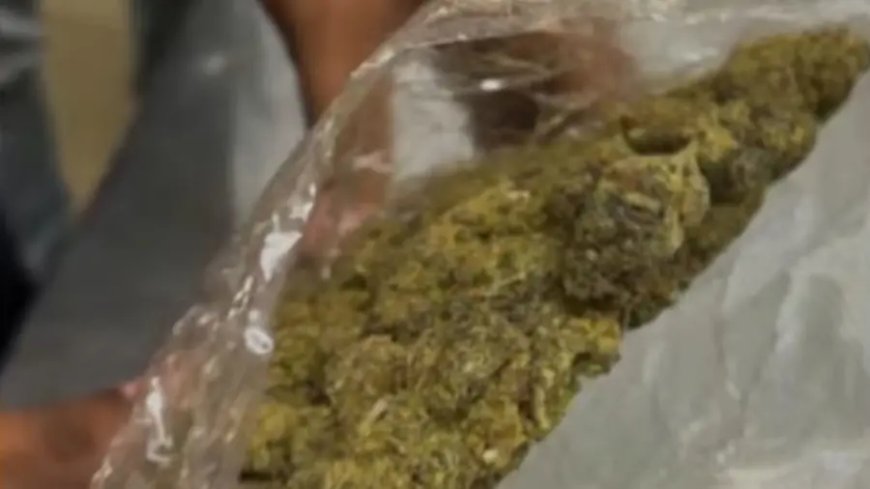 കഞ്ചാവുമായി  പിടിയില്‍