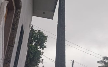 KSEB ചതിച്ചാശ്ശാനെ.. സുരേഷ് ഈ ഇലട്രിക്ക് പോസ്റ്റിനി എന്ത് ചെയ്യും..?