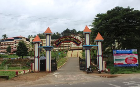 വിമുക്തി ഫ്ലാഷ് മോബ് മത്സരം : മൂലമറ്റം സെന്റ്. ജോസഫ്സ് കോളേജ് ജേതാക്കൾ