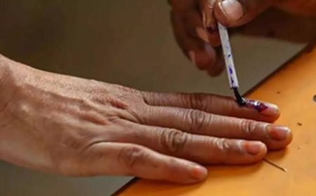 സംസ്ഥാനത്ത് തദ്ദേശ തിരഞ്ഞെടുപ്പ് നവംബർ–ഡിസംബർ മാസങ്ങളിൽ