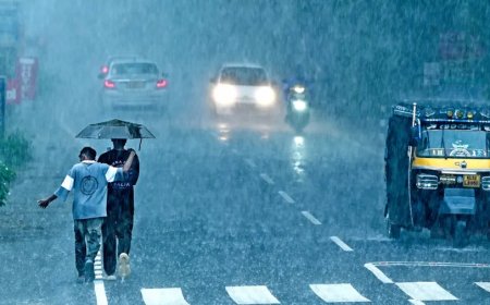 ശക്തമായ മഴയ്ക്ക് സാധ്യത; 7 ജില്ലകളില്‍ യെല്ലോ അലേര്‍ട്ട്