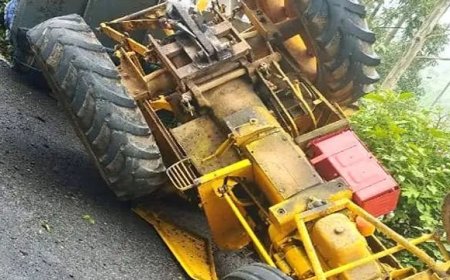 തേയിലക്കൊളുന്തു കയറ്റിവന്ന ട്രാക്‌ടര്‍ നിയന്ത്രണംവിട്ടു മറിഞ്ഞു. ഡ്രൈവറടക്കം രണ്ടുപേര്‍ക്ക്‌ പരുക്കേറ്റു