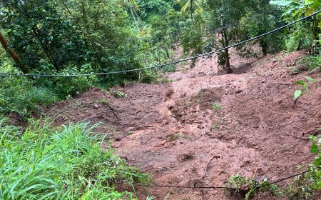 കനത്ത മഴ : എഴുകുംവയലിൽ മണ്ണിടിച്ചിൽ ;കൃഷിനാശം