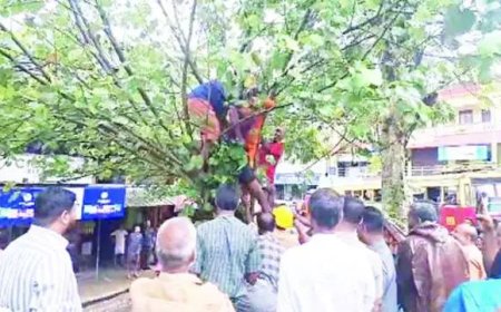 മദ്യലഹരിയില്‍ മരത്തിന്‌ മുകളില്‍ക്കയറി യുവാവിന്റെ ആത്മഹത്യാ ഭീഷണി