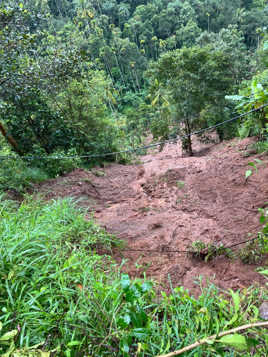 കനത്ത മഴ : എഴുകുംവയലിൽ മണ്ണിടിച്ചിൽ ;കൃഷിനാശം