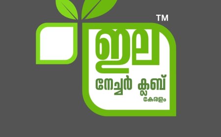 ഇലയുടെ രൂപം മാറുന്നു