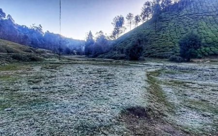 തണുത്ത് വിറച്ച് മൂന്നാർ. താപനില പൂജ്യത്തിലേക്ക്