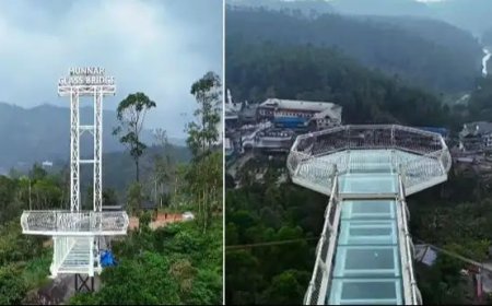 അനുമതിയില്ലാതെ നിര്‍മാണം ; ആനച്ചാലിലെ ഗ്ലാസ് ബ്രിഡ്ജിന്‍റെ പ്രവര്‍ത്തനം തടഞ്ഞു