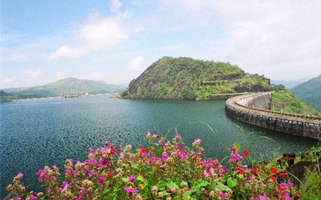 ഇടുക്കി, ചെറുതോണി അണക്കെട്ടുകള്‍ സന്ദര്‍ശിക്കാന്‍ അനുമതി