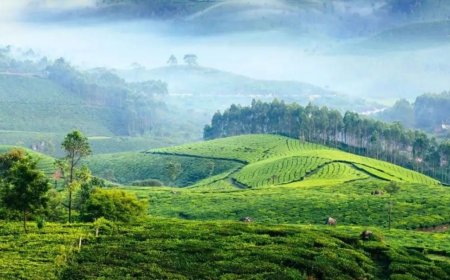 തണുത്തുറഞ്ഞ് ഹില്‍സ്റ്റേഷൻ.മൂന്നാറില്‍ താപനില വീണ്ടും പൂജ്യത്തിന് താഴെ