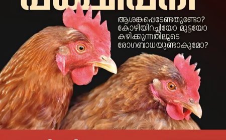 പക്ഷിപ്പനി: ആശങ്ക വേണ്ട, ജാഗ്രത പാലിക്കണമെന്ന് ഇടുക്കി ജില്ലാ ആരോഗ്യവകുപ്പ്
