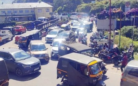 ക്രിസ്മസ് അവധി മൂന്നാറിൽ സഞ്ചാരികളുടെ വൻ തിരക്ക്