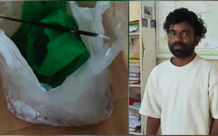 മുള്ളൻപന്നിയുടെ ഇറച്ചിയുമായി ഇതരസംസ്ഥാന തൊഴിലാളി പിടിയിൽ