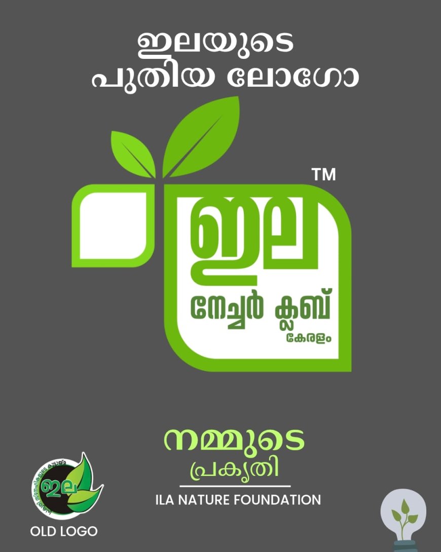 ഇലയുടെ രൂപം മാറുന്നു