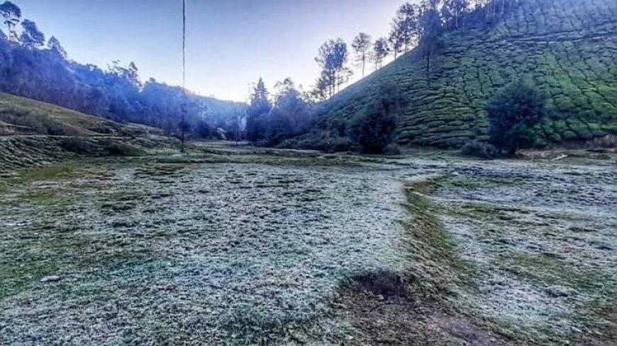 തണുത്ത് വിറച്ച് മൂന്നാർ. താപനില പൂജ്യത്തിലേക്ക്