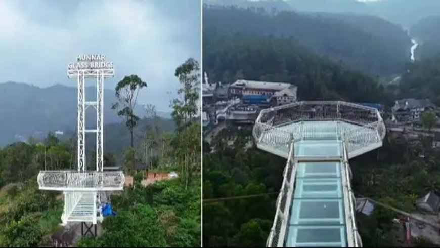 അനുമതിയില്ലാതെ നിര്‍മാണം ; ആനച്ചാലിലെ ഗ്ലാസ് ബ്രിഡ്ജിന്‍റെ പ്രവര്‍ത്തനം തടഞ്ഞു