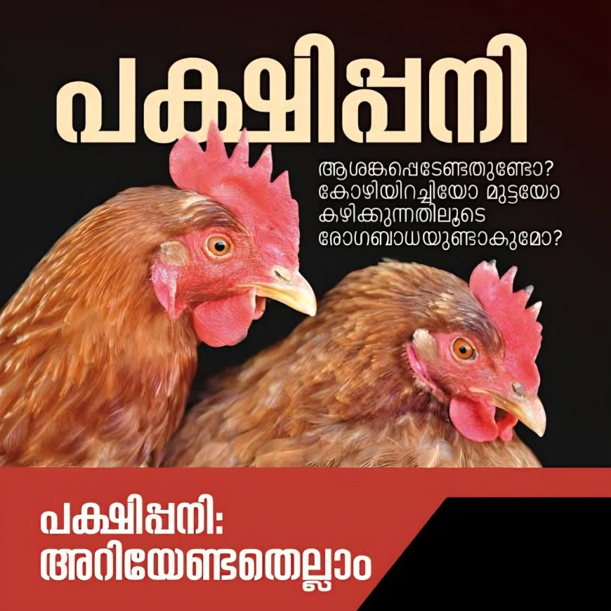 പക്ഷിപ്പനി: ആശങ്ക വേണ്ട, ജാഗ്രത പാലിക്കണമെന്ന് ഇടുക്കി ജില്ലാ ആരോഗ്യവകുപ്പ്