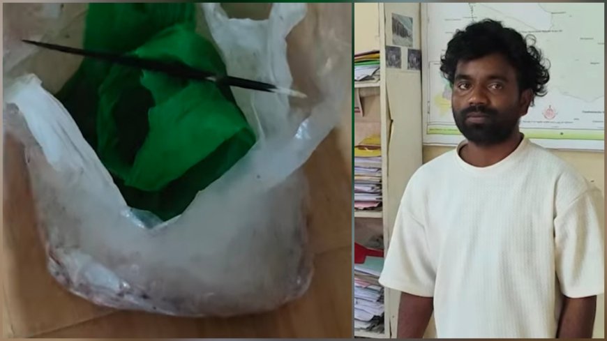 മുള്ളൻപന്നിയുടെ ഇറച്ചിയുമായി ഇതരസംസ്ഥാന തൊഴിലാളി പിടിയിൽ