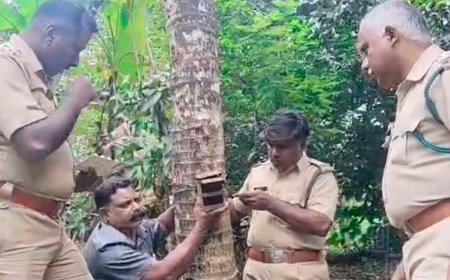 കഞ്ഞിക്കുഴി വാകച്ചുവടിൽ വനംവകുപ്പ് ക്യാമറ സ്ഥാപിച്ചു