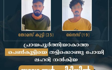 പ്രായപൂർത്തിയാകാത്ത പെൺകുട്ടിയെ തട്ടിക്കൊണ്ടു പോയി ലഹരി നൽകിയ യുവാക്കൾ പിടിയിൽ