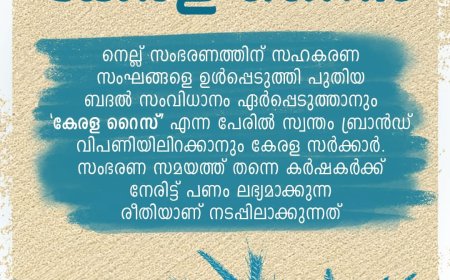 കേരള റൈസ് ഉടൻ വിപണിയിൽ.