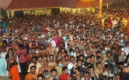 മകരവിളക്ക് : ജില്ലയിലെ ഒരുക്കങ്ങള്‍ വിലയിരുത്തി എഡിഎം