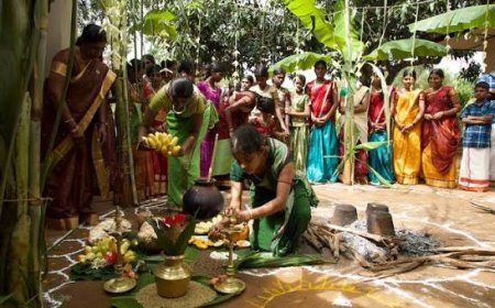 തൈപ്പൊങ്കല്‍: സംസ്ഥാനത്ത് വ്യാഴാഴ്ച ആറ് ജില്ലകളില്‍ അവധി