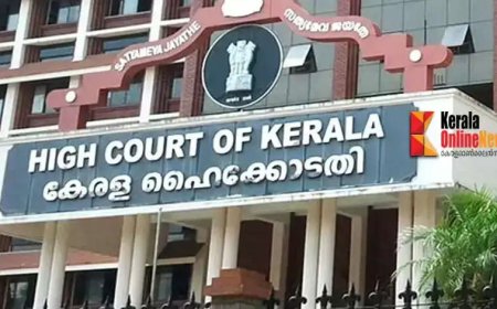 ഫിസിയോതെറാപ്പിസ്റ്റുകൾക്കും ഒക്യുപേഷണൽ തെറാപ്പിസ്റ്റുകൾക്കും ‘ഡോക്ടർ’ പദവി ഉപയോഗിക്കാം: ഹൈക്കോടതി