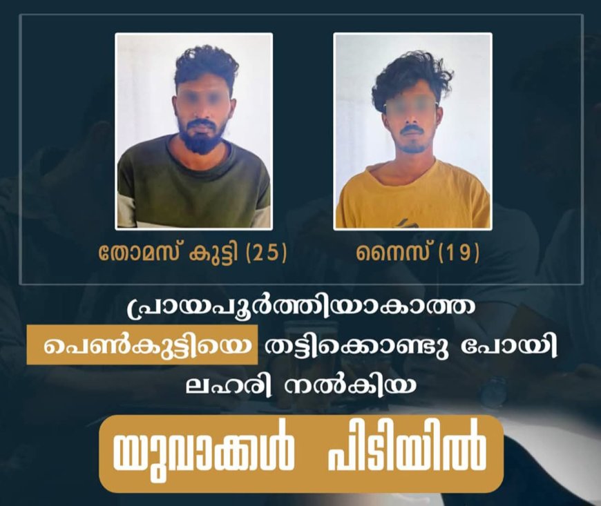 പ്രായപൂർത്തിയാകാത്ത പെൺകുട്ടിയെ തട്ടിക്കൊണ്ടു പോയി ലഹരി നൽകിയ യുവാക്കൾ പിടിയിൽ