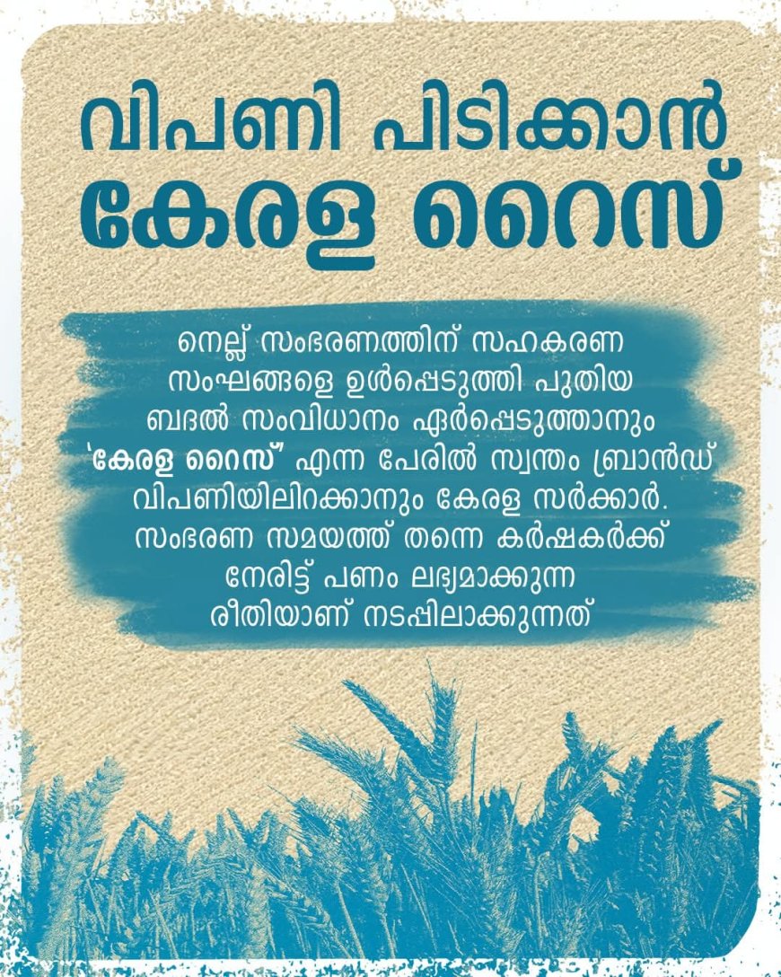 കേരള റൈസ് ഉടൻ വിപണിയിൽ.