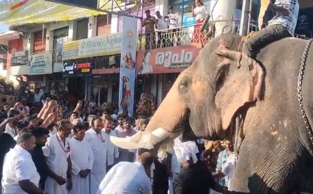 ഇരട്ടയാർ വീണ്ടും തെളിയിച്ചു—മതം മനുഷ്യരെ വേർതിരിക്കാൻ അല്ല, ഹൃദയങ്ങളെ ചേർക്കാനാണ്.