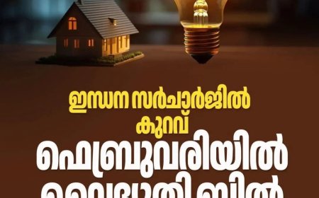 ഇന്ധന സർചാർജ് കുറഞ്ഞു : ഫെബ്രുവരിയിൽ വൈദ്യുതി ബില്ലിൽ കുറവുണ്ടാകും.