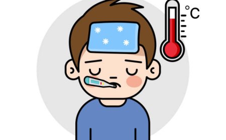 പനിച്ചു വിറച്ച് ഇടുക്കി : ഒരു മാസത്തിനിടെ ചികിത്സ തേടിയത് 5983 പേര്‍