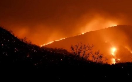 കാട്ടുതീ ഭീഷണിയില്‍ ഹൈറേഞ്ച്