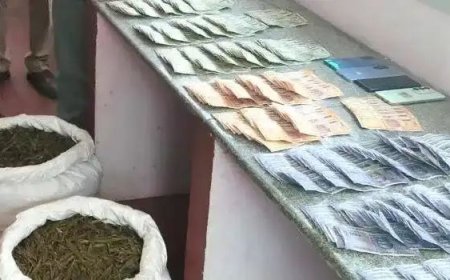 ആഡംബര കാറിൽ കഞ്ചാവ് കടത്ത്; കുമളി അതിർത്തിയിൽ 40 കിലോ കഞ്ചാവുമായി സ്ത്രീ ഉൾപ്പെടെ മൂന്ന് പേർ അറസ്റ്റിൽ