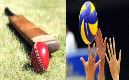 കട്ടപ്പന സെലിബ്രിറ്റി ക്രിക്കറ്റ് ലീഗും കുളത്തുപുരയിടം മുന്ന മെമ്മോറിയല്‍ വോളിബോള്‍ ടൂര്‍ണമെന്റും ഇന്ന്