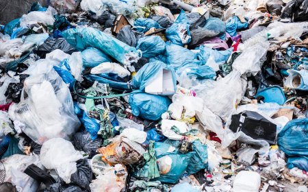 കുമളി–മൂന്നാർ സംസ്ഥാനപാത മാലിന്യക്കുപ്പയാകുന്നു; കൽക്കൂന്തലിനു സമീപം വീണ്ടും മാലിന്യം തള്ളി