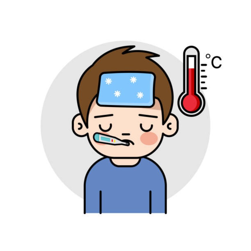 പനിച്ചു വിറച്ച് ഇടുക്കി : ഒരു മാസത്തിനിടെ ചികിത്സ തേടിയത് 5983 പേര്‍