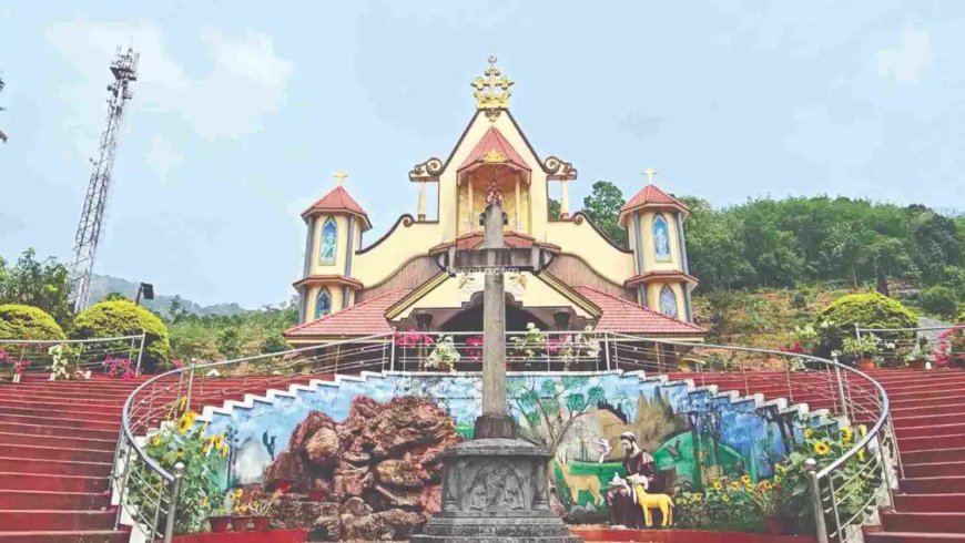 അടിമാലി മച്ചിപ്ലാവ് സെന്റ് ഫ്രാൻസിസ് അസീസി പള്ളി ഇനി തീർഥാടന കേന്ദ്രം