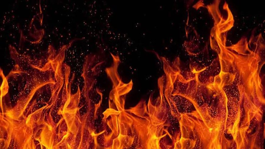 ഇടുക്കി പാണ്ടിപ്പാറയിൽ പള്ളികെട്ടിടത്തിൽ പ്രവർത്തിക്കുന്ന ഓയിൽ മില്ലിൽ വൻ തീപിടുത്തം