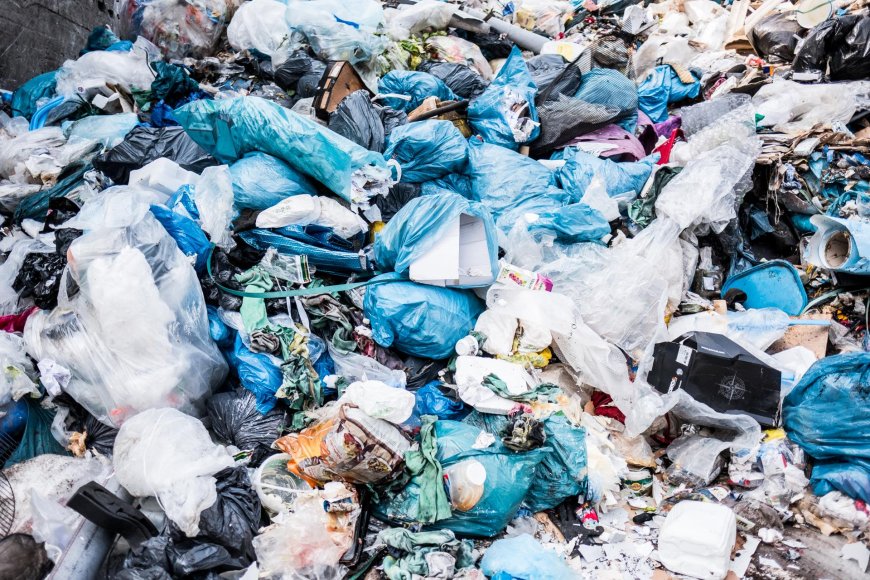 കുമളി–മൂന്നാർ സംസ്ഥാനപാത മാലിന്യക്കുപ്പയാകുന്നു; കൽക്കൂന്തലിനു സമീപം വീണ്ടും മാലിന്യം തള്ളി