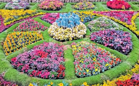 തേക്കടി പുഷ്പമേള ഏപ്രില്‍ 1 മുതല്‍